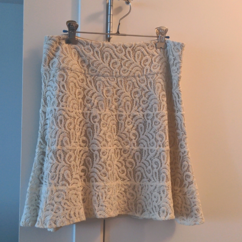 Express skirt
